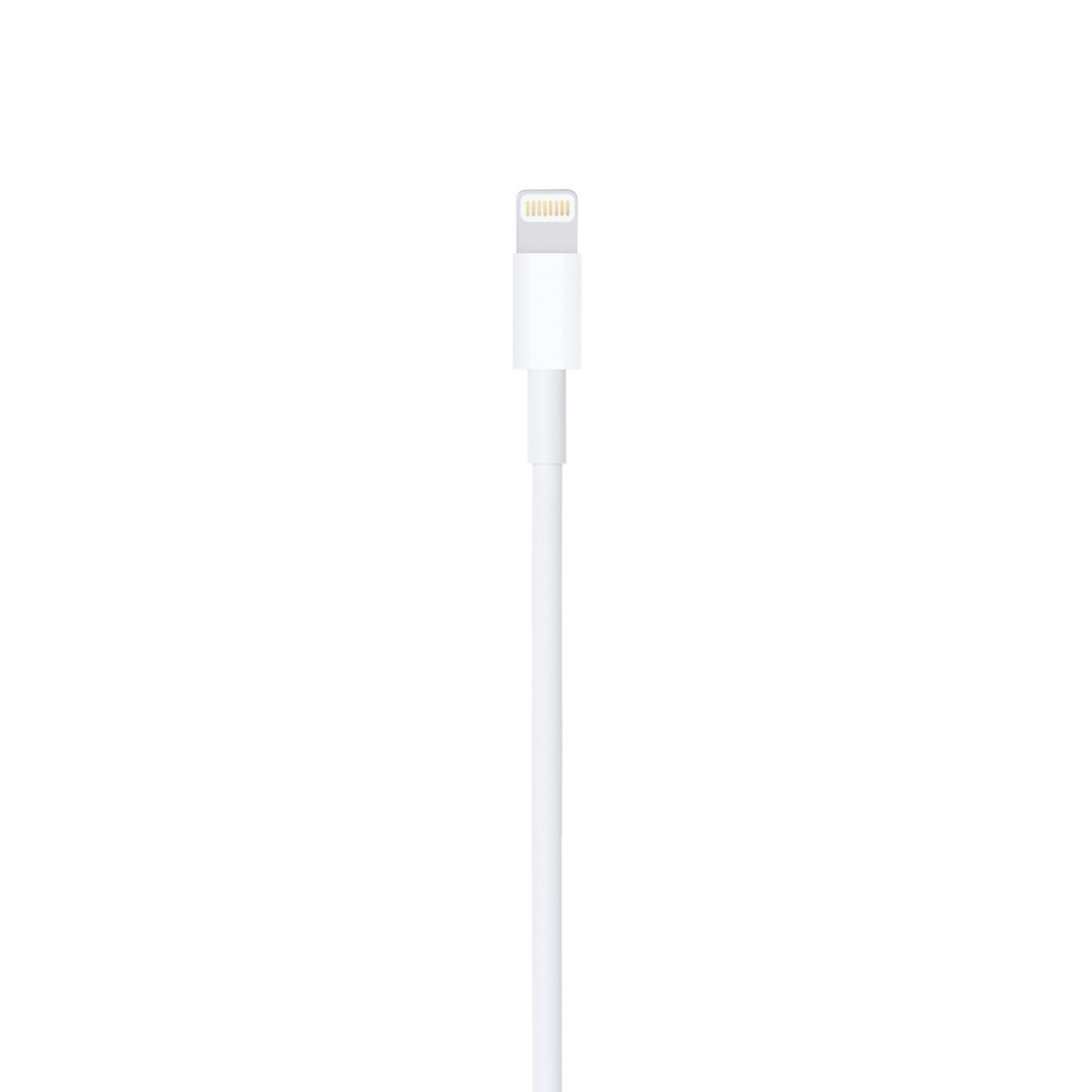 Apple Lightning to USB Cable coiled - genuine charging and syncing cable for legacy devices - Pakistan - ZEDSHOPPE®.