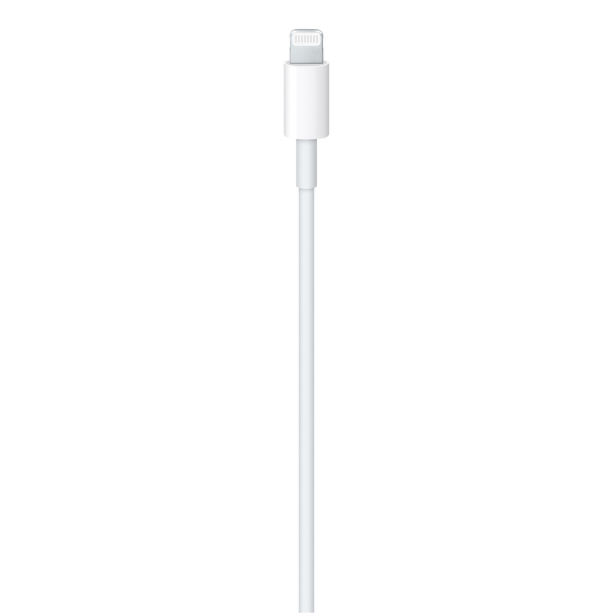 Apple 2M Lightning Cable coiled - genuine charging and syncing cable -Pakistan - ZEDSHOPPE®.