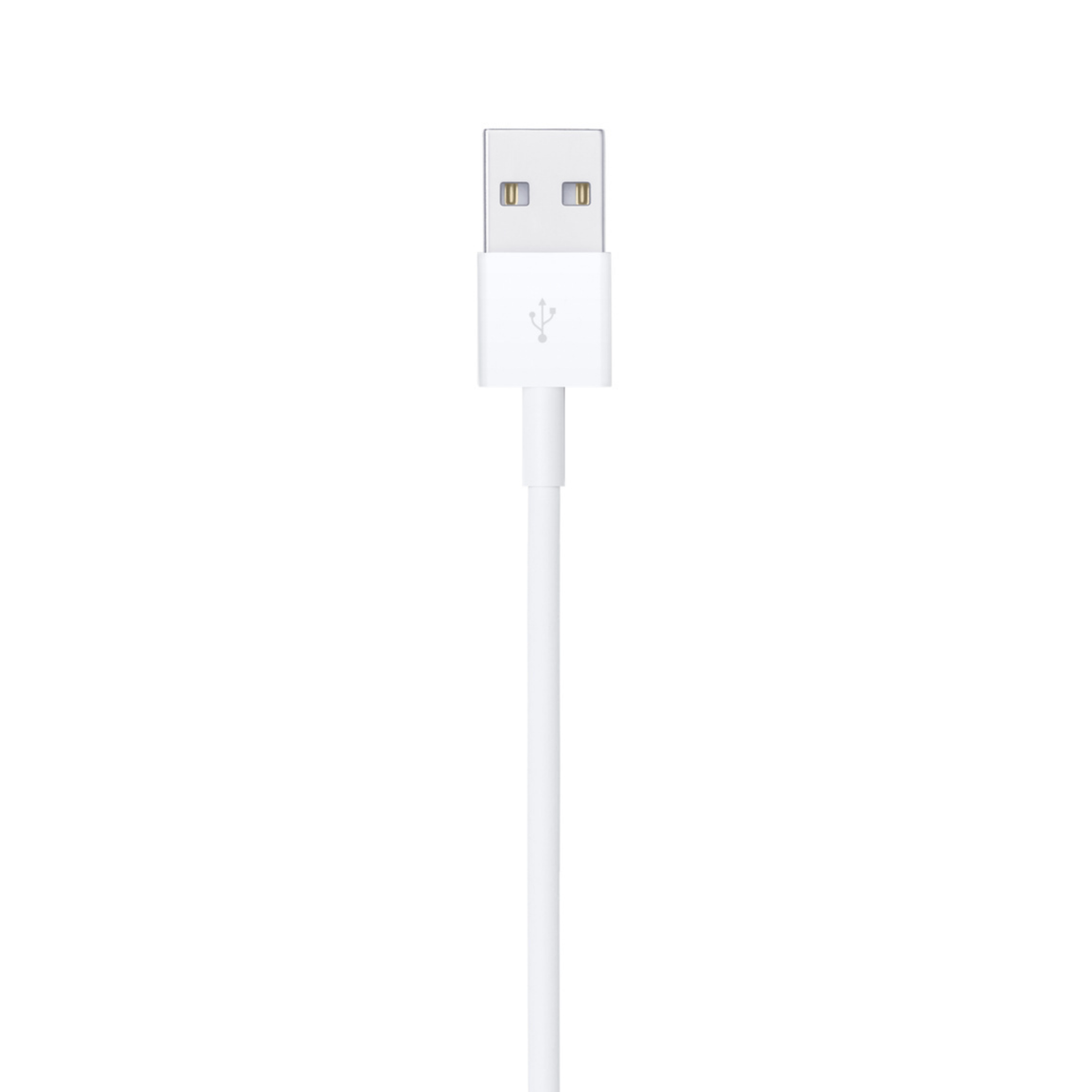 Apple Lightning to USB Cable coiled - genuine charging and syncing cable for legacy devices - Pakistan - ZEDSHOPPE®